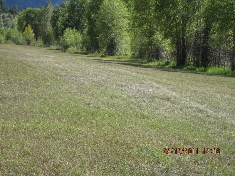 Scaled image img-0712.jpg 