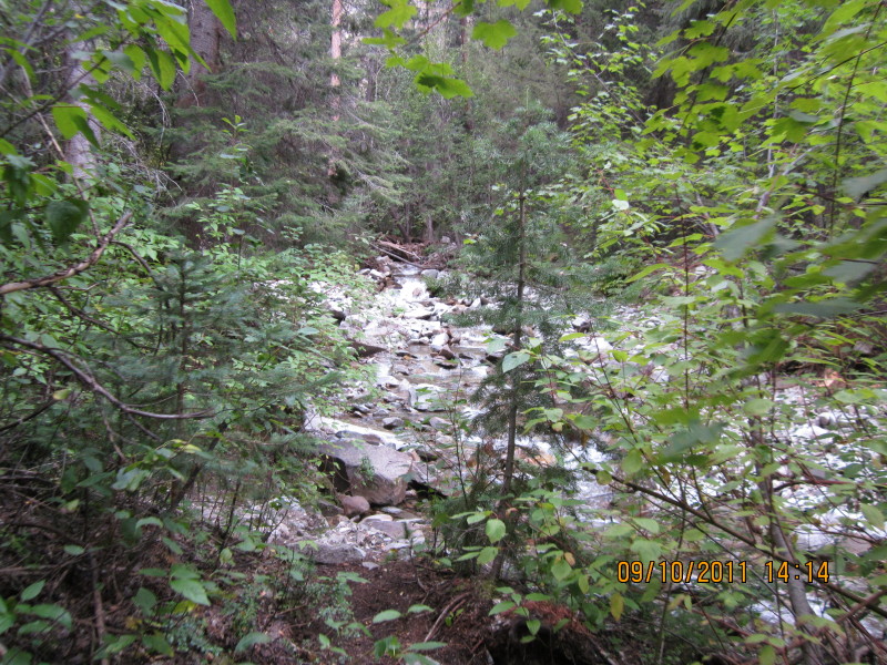 Scaled image img-0713.jpg 