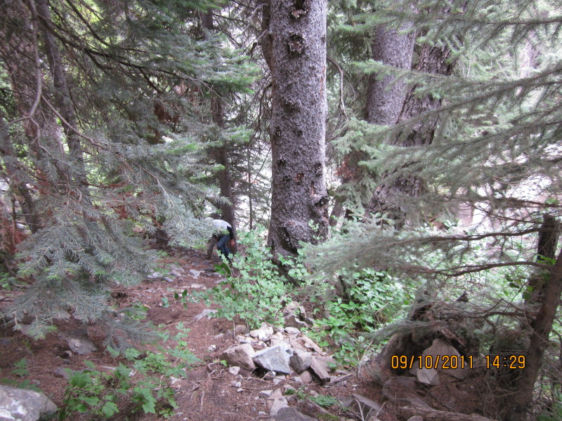 Scaled image img-0724.jpg 