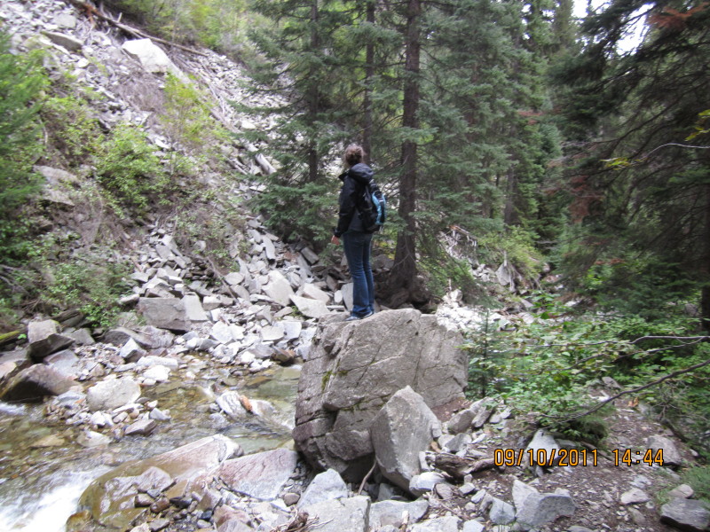 Scaled image img-0731.jpg 