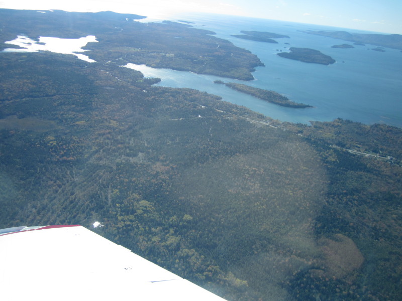 Scaled image 20121013-img-1632.jpg 