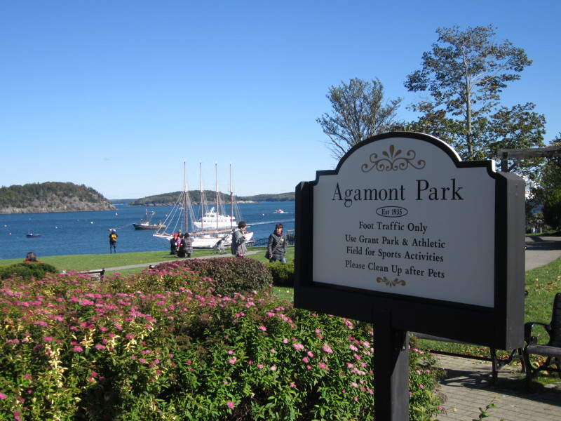 Scaled image 20121013-img-1647.jpg 