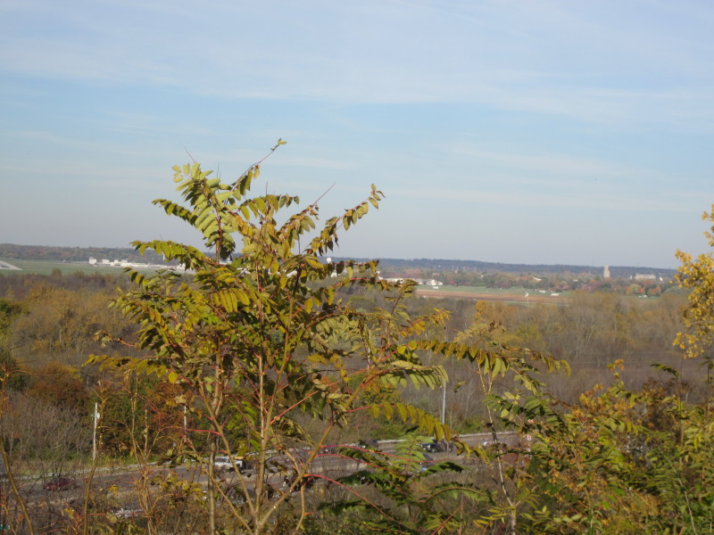 Scaled image 20121016-img-1800.jpg 