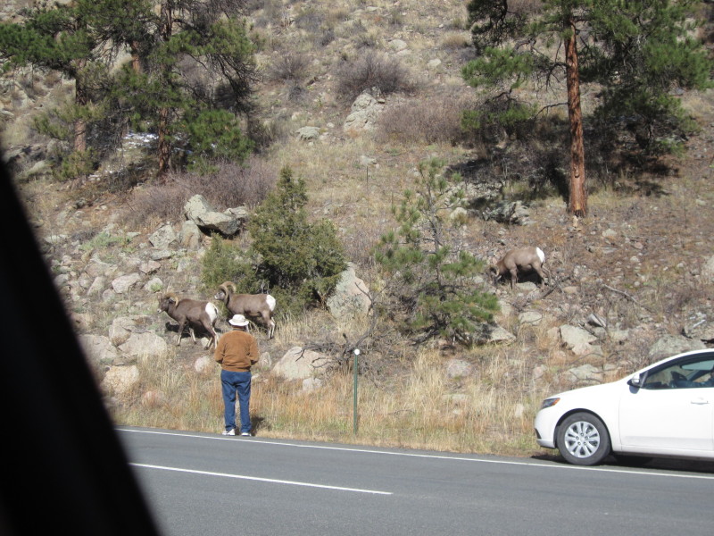 Scaled image 20121027-img-1858.jpg 