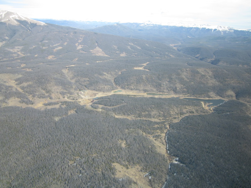 Scaled image 20121104-img-1874.jpg 