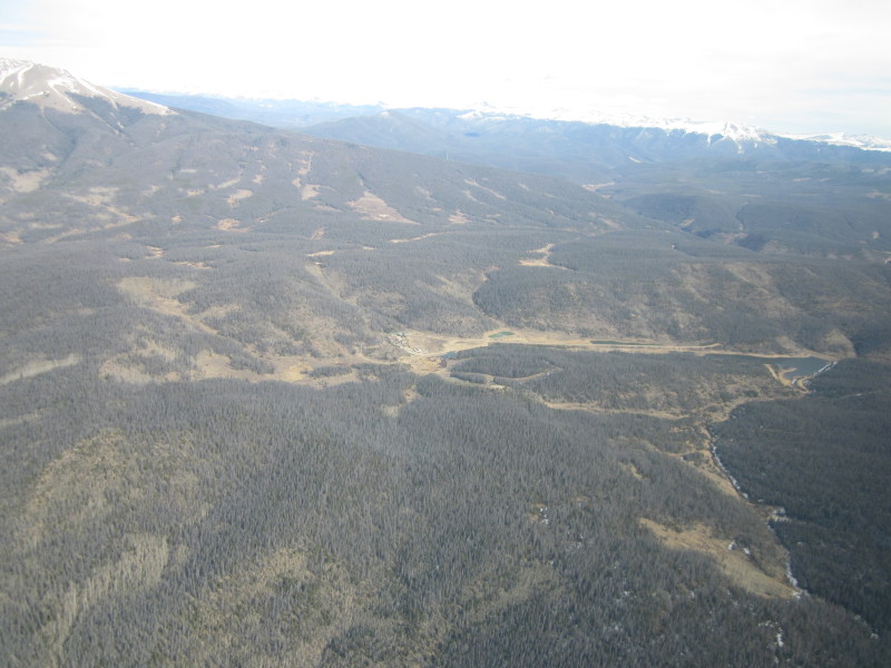 Scaled image 20121104-img-1876.jpg 