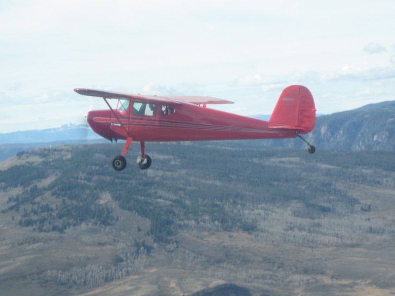 Scaled image 20121104-img-1886.jpg 