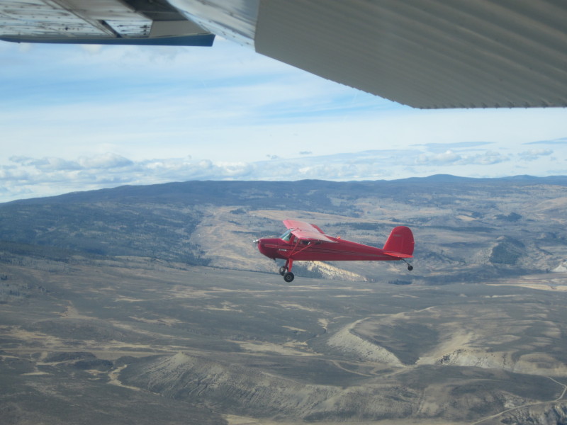 Scaled image 20121104-img-1887.jpg 