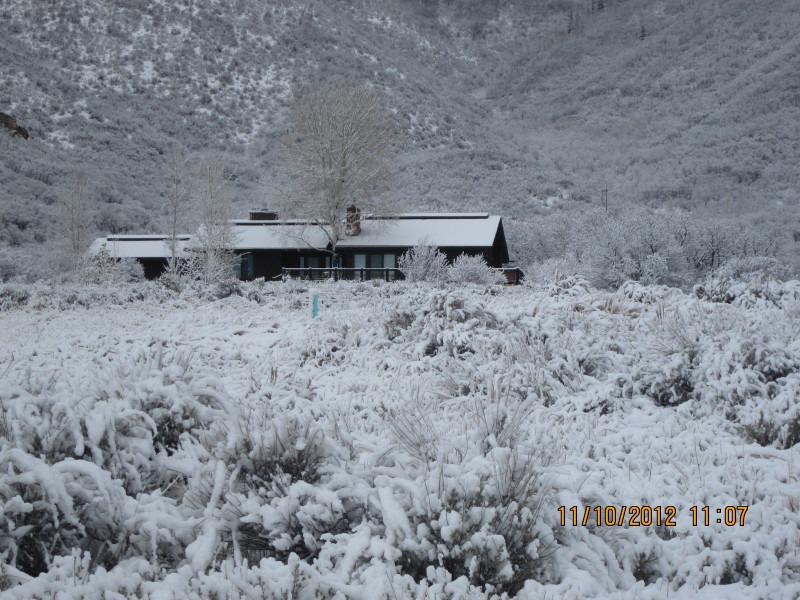 Scaled image 20121110-img-1894.jpg 