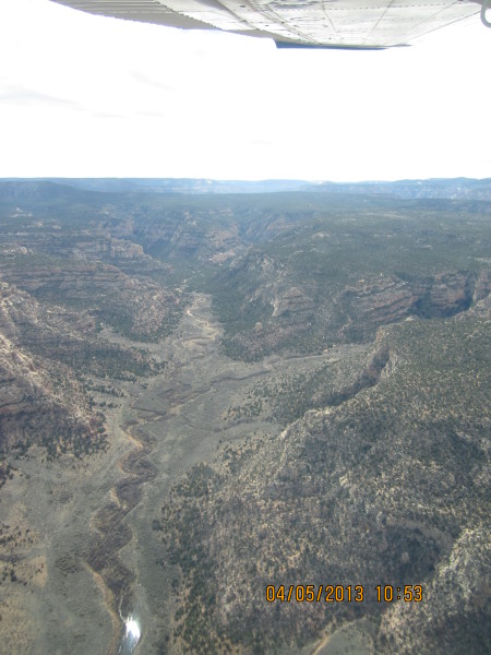 Scaled image 201304-img-1993.jpg 