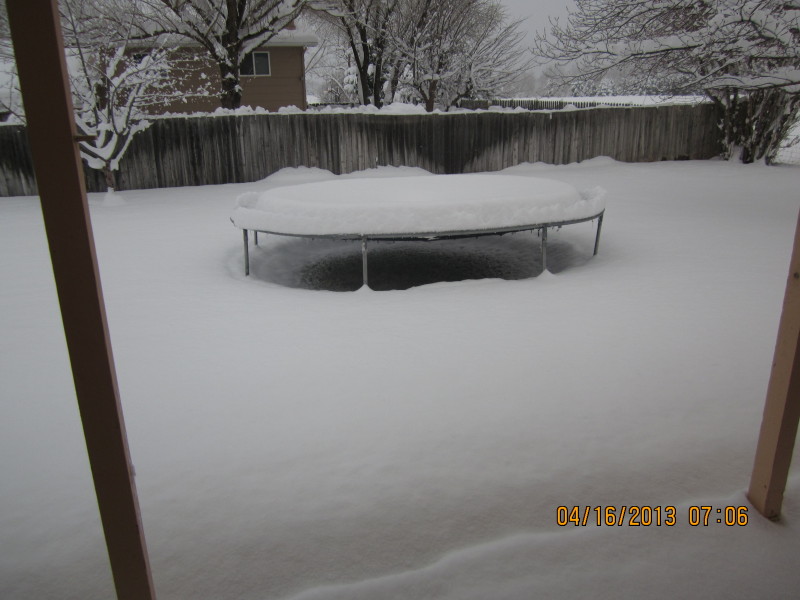 Scaled image 201304-img-2043.jpg 