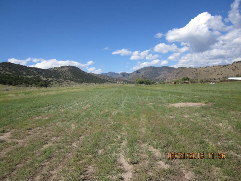 Scaled image 20130921-img-0561.jpg 