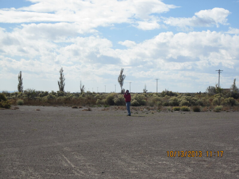 Scaled image 20131013-img-0737.jpg 