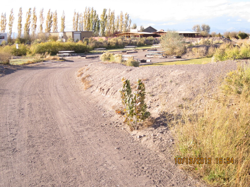 Scaled image 20131013-img-0745.jpg 