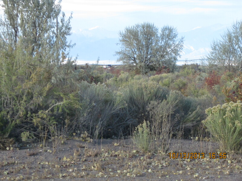 Scaled image 20131013-img-0746.jpg 