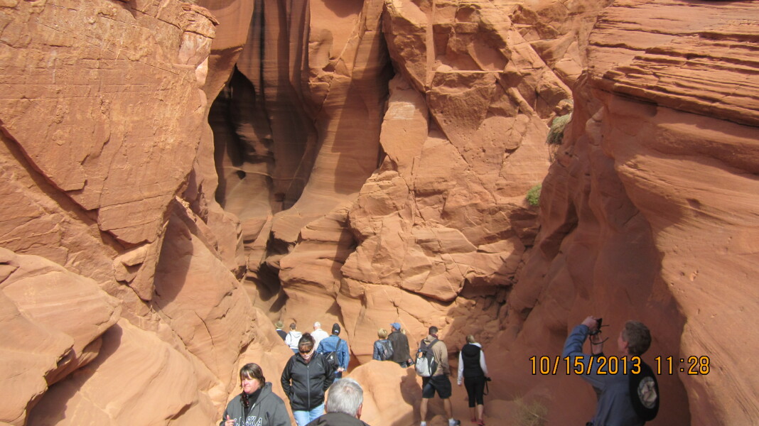 Scaled image 20131015-img-0849.jpg 