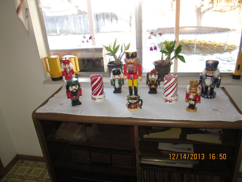 Scaled image 20131214-img-0915.jpg 