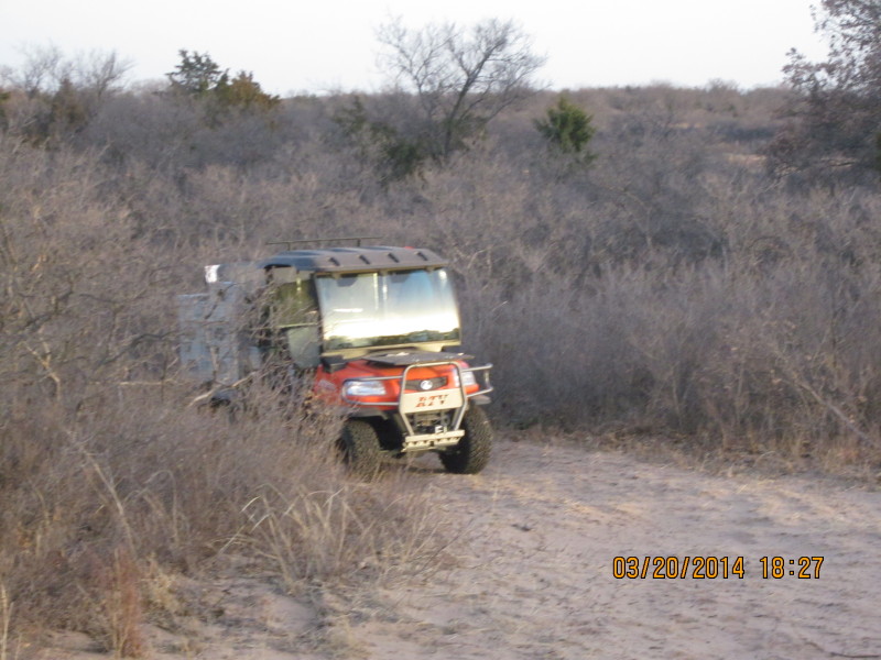 Scaled image 20140320-img-0962.jpg 