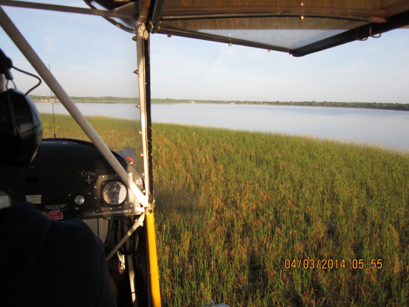 Scaled image 20140403-img-1060.jpg 