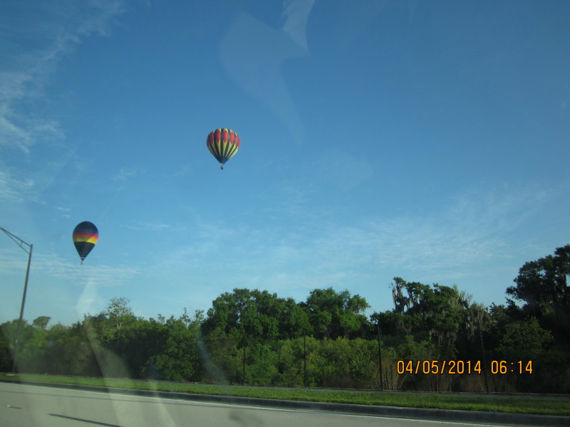 Scaled image 20140405-img-1149.jpg 