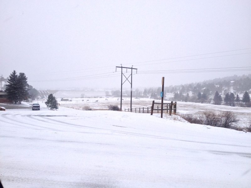 Scaled image img-0102.jpg 