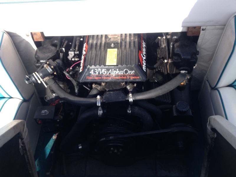 Scaled image img-0123.jpg 