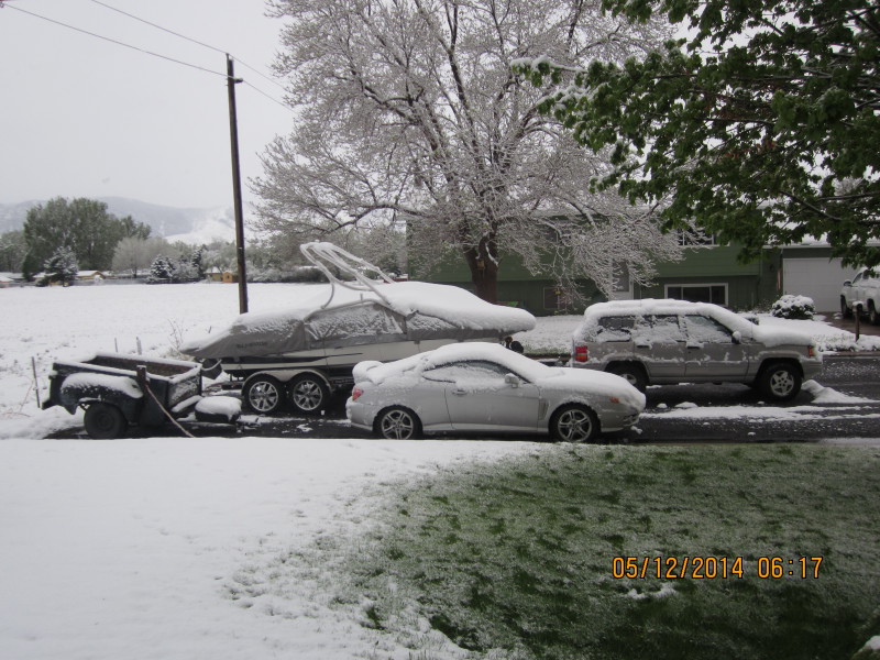 Scaled image 20140512-img-1184.jpg 