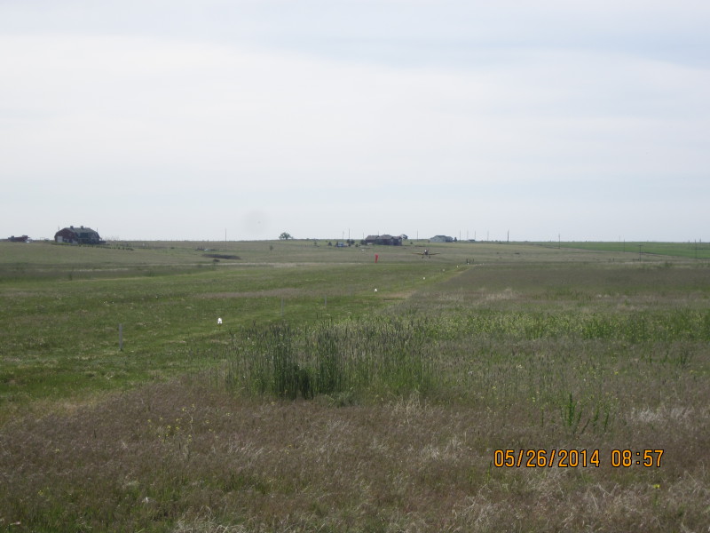 Scaled image 20140526-img-1307.jpg 