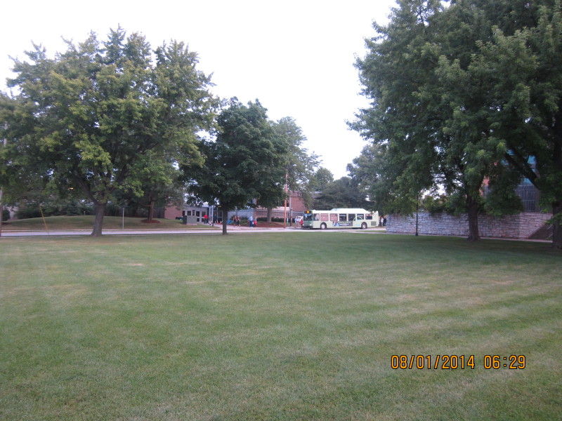 Scaled image 20140801-img-1517.jpg 