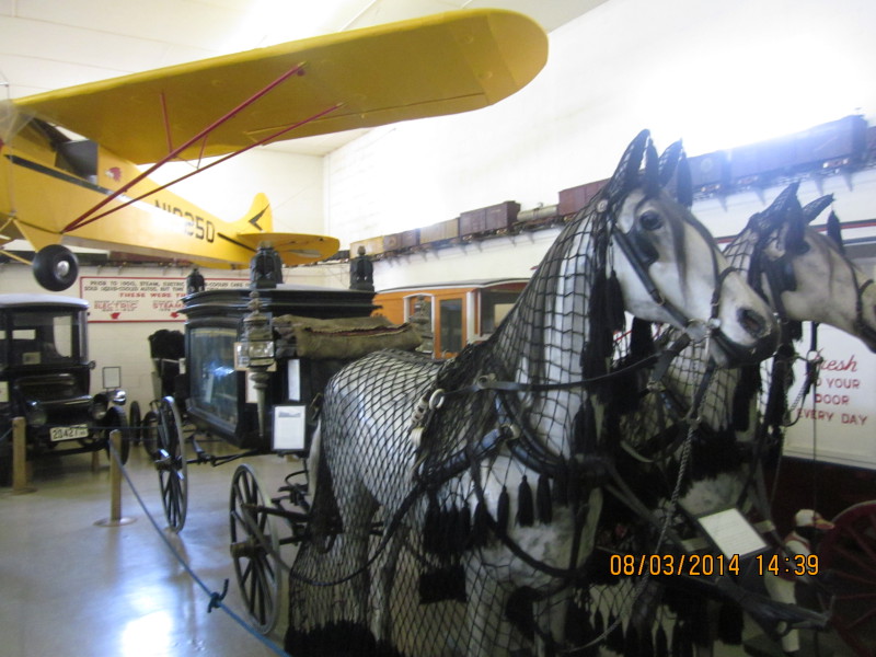 Scaled image 20140803-img-1535.jpg 