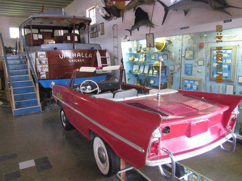 Scaled image 20140803-img-1555.jpg 