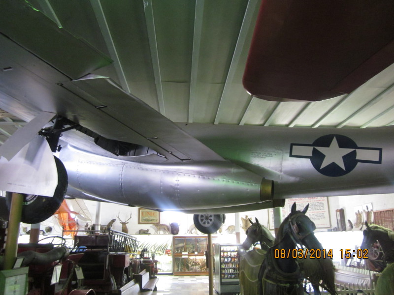 Scaled image 20140803-img-1558.jpg 