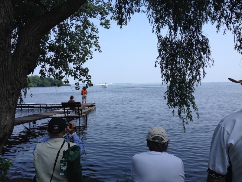 Scaled image img-0217.jpg 