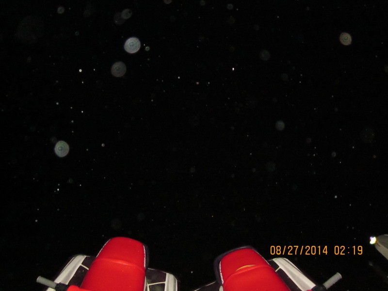 Scaled image 20140827-img-1686.jpg 