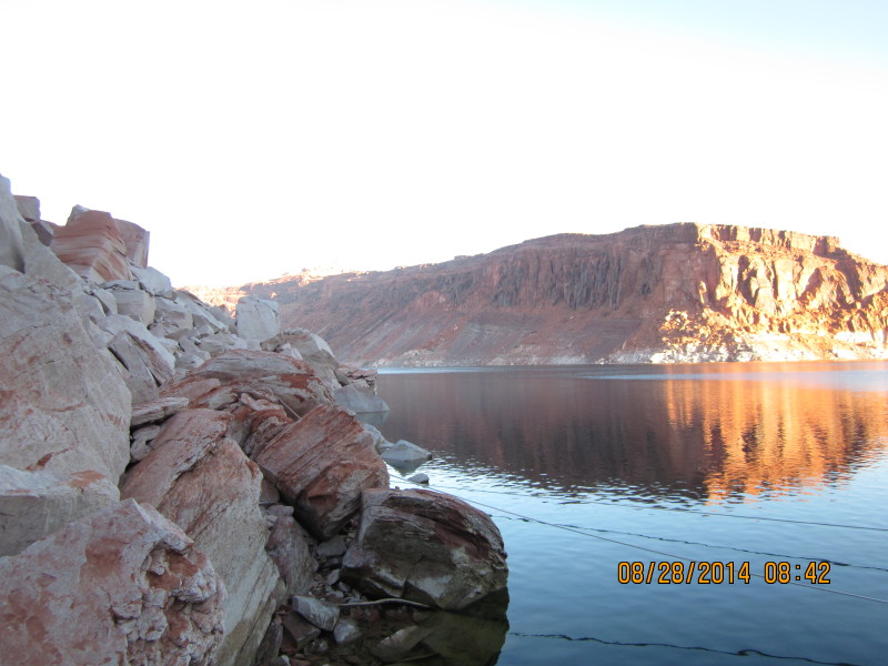 Scaled image 20140828-img-1701.jpg 