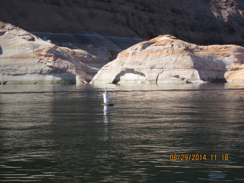 Scaled image 20140829-img-1708.jpg 