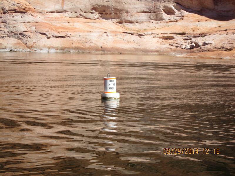 Scaled image 20140829-img-1713.jpg 