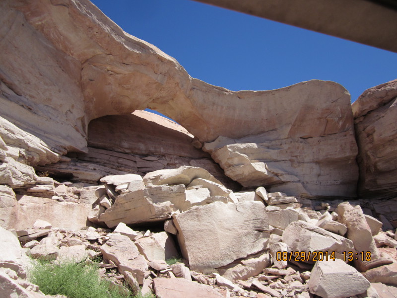 Scaled image 20140829-img-1716.jpg 