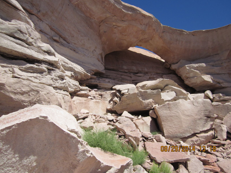 Scaled image 20140829-img-1717.jpg 