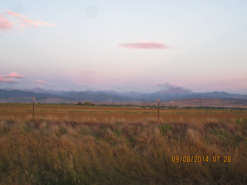 Scaled image 20140908-img-1737.jpg 