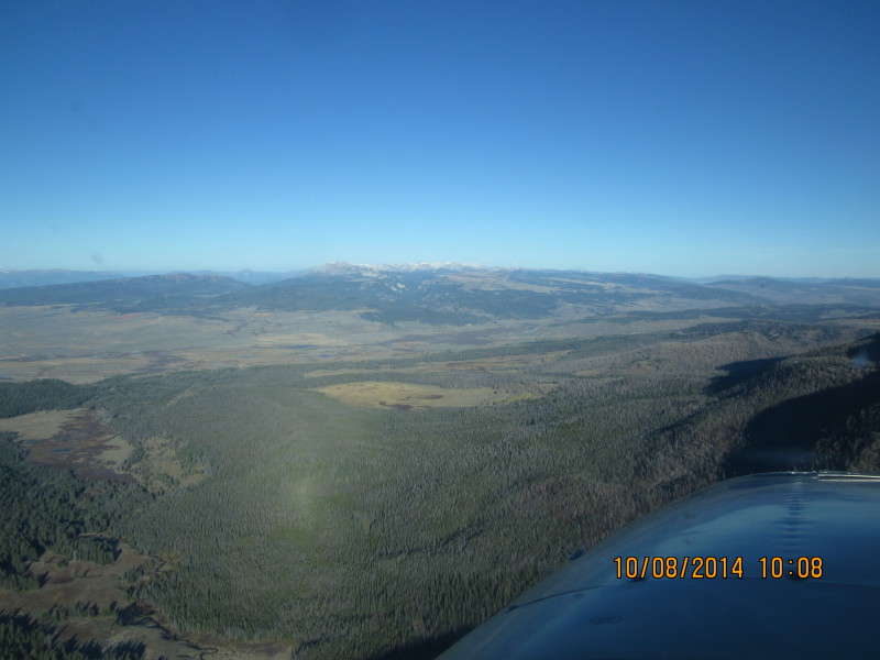 Scaled image 20141008-img-1770.jpg 