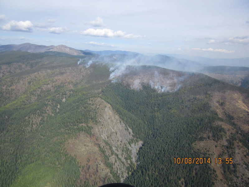 Scaled image 20141008-img-1781.jpg 