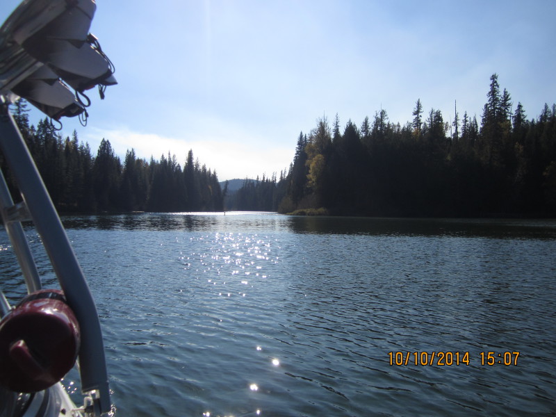 Scaled image 20141010-img-1872.jpg 