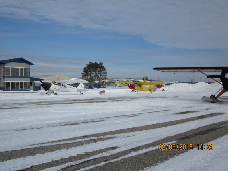 Scaled image 20150206-img-1971.20150206.jpg 