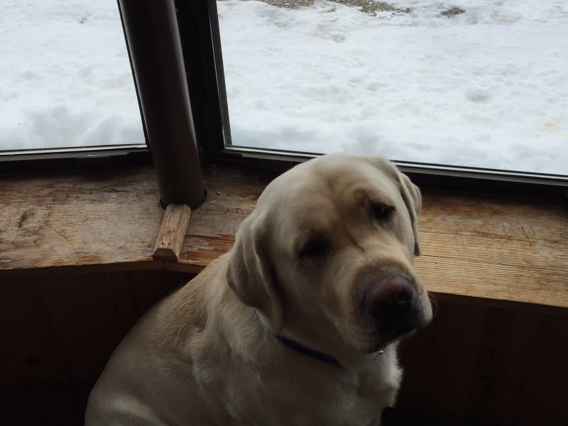 Scaled image img-0084.jpg 