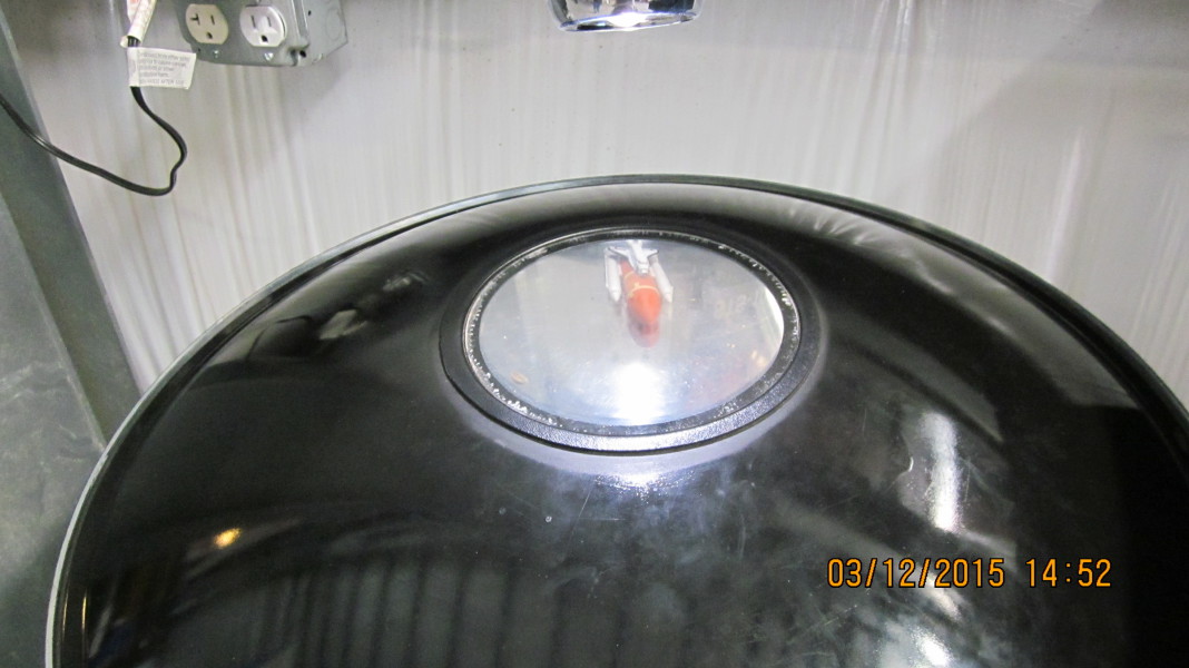 Scaled image img-2046.jpg 