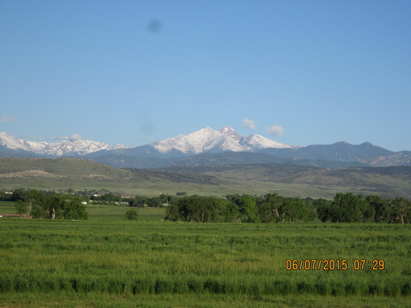 Scaled image 20150607-img-2285.jpg 