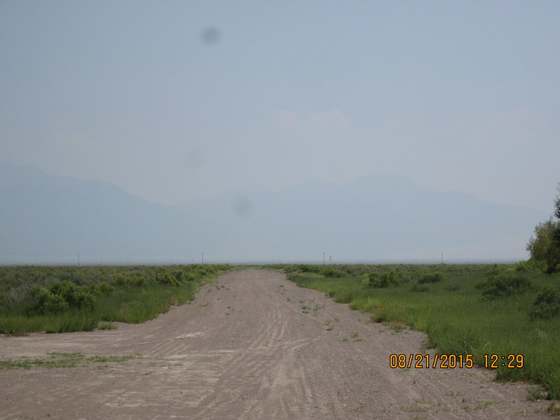 Scaled image 20150821-img-2409.jpg 