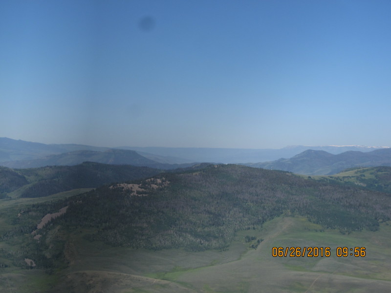 Scaled image 20160626-img-2996.jpg 