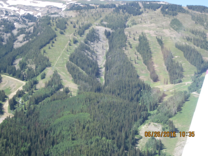 Scaled image 20160626-img-3012.jpg 